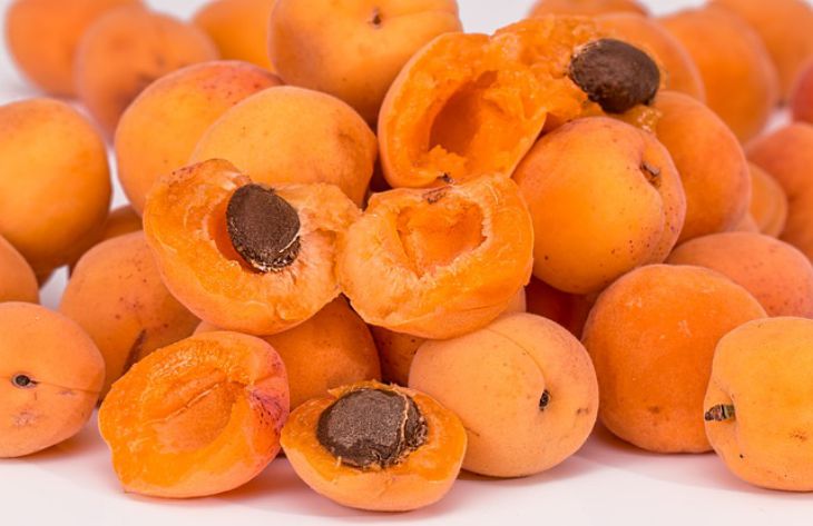 apricots