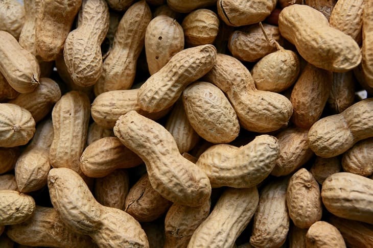 Nuts