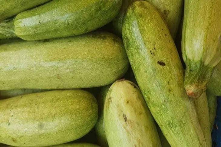 Courgettes