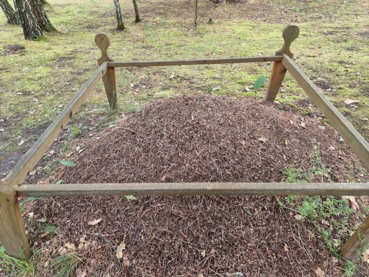 compost