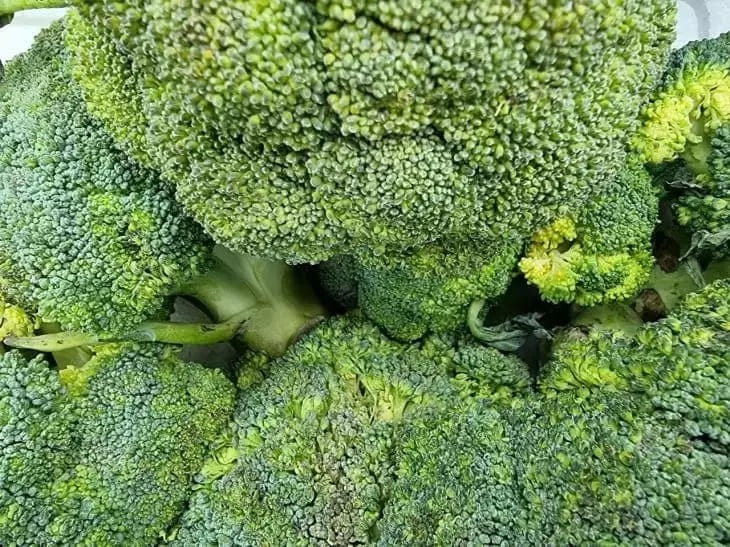 Broccoli