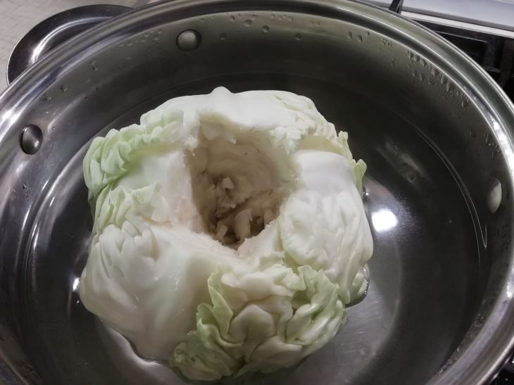 Cabbage