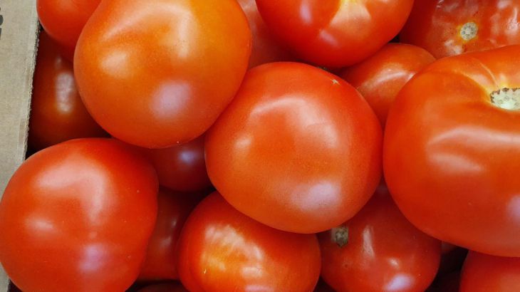 Tomaten