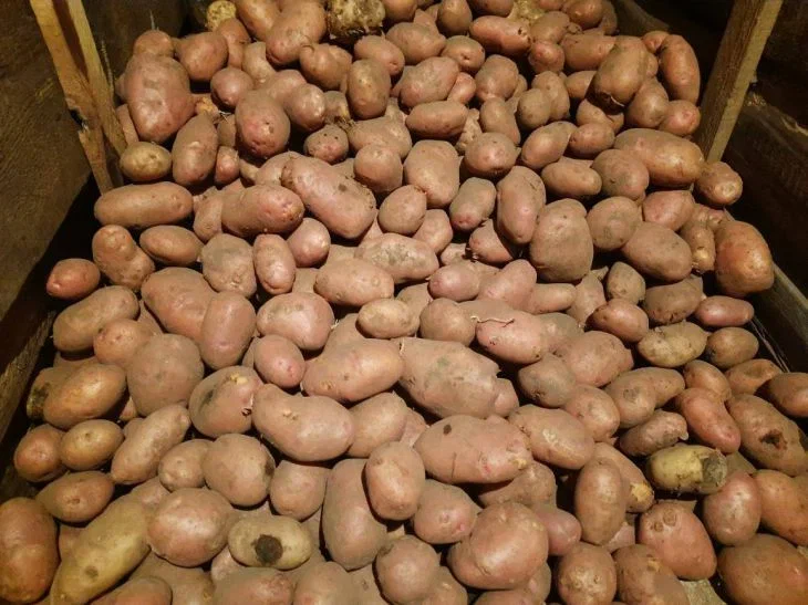 Potatoes