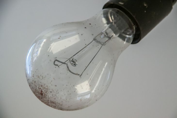 bulb