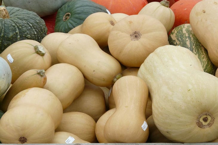 calabazas