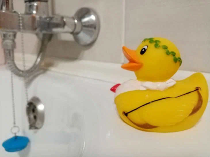 Canard dans le bain