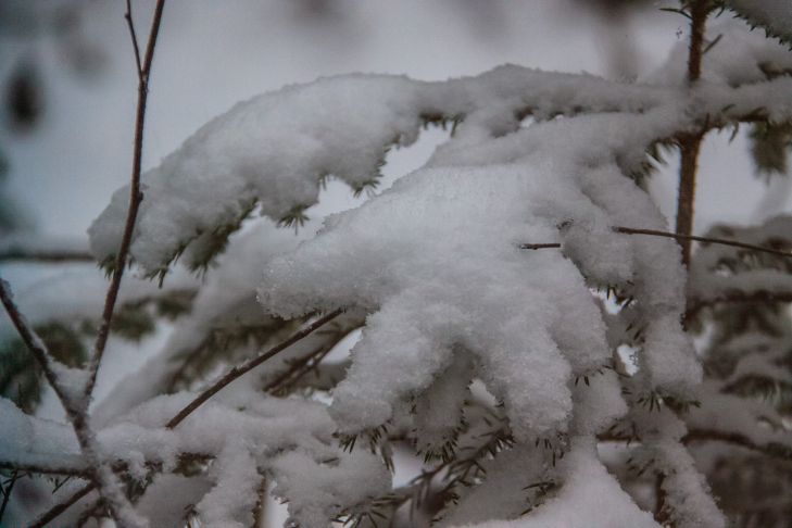 invierno