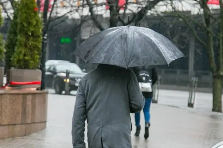 Umbrella