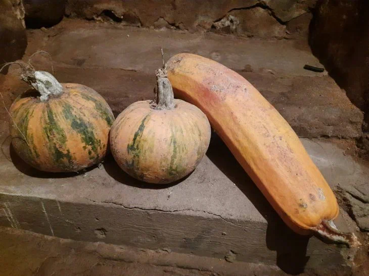 calabazas