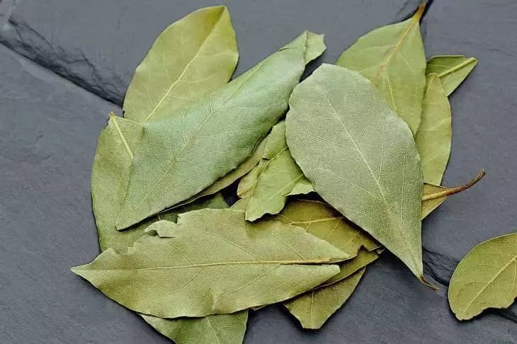 Bay leaves