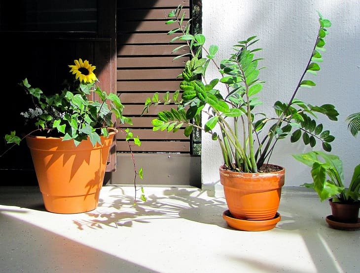 Pots, rebord de fenêtre