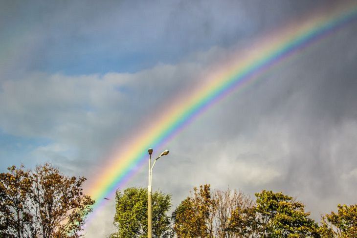 Regenbogen