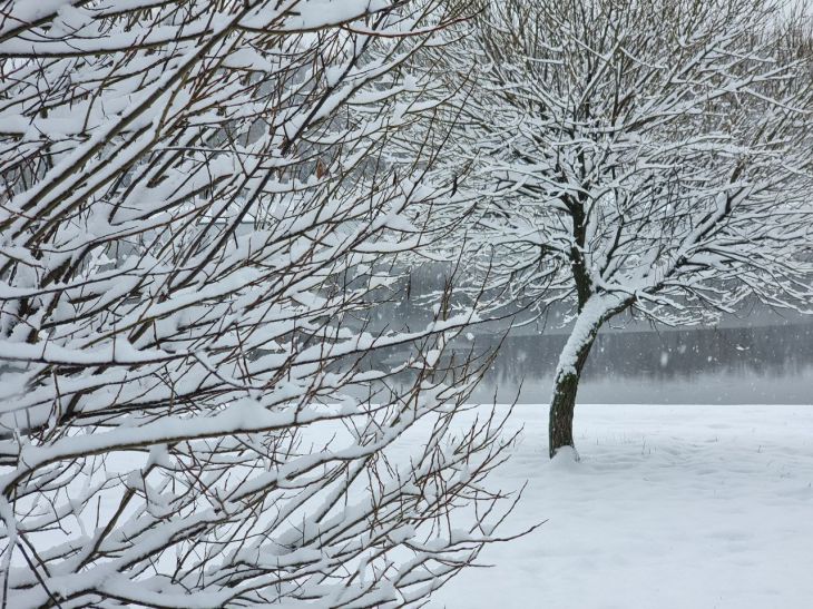 invierno