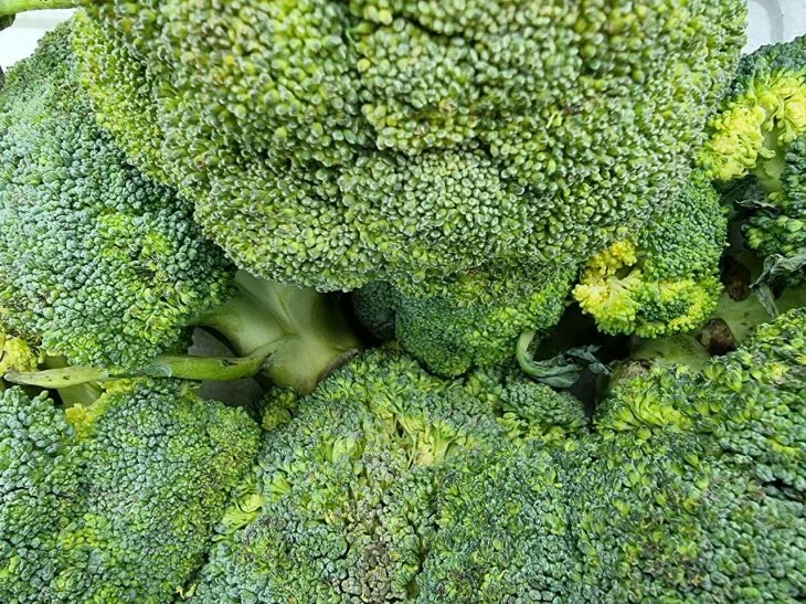 Broccoli