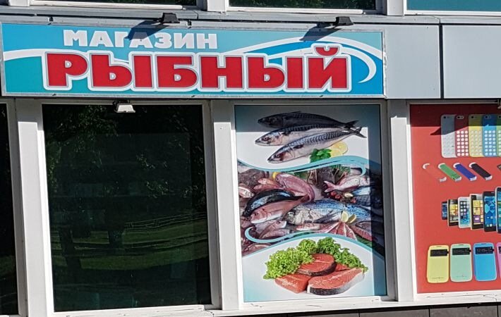 Fish Shop