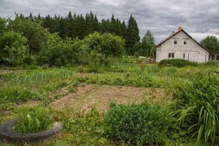 Summer house, vegetable garden