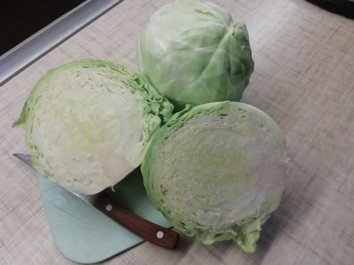 Cabbage