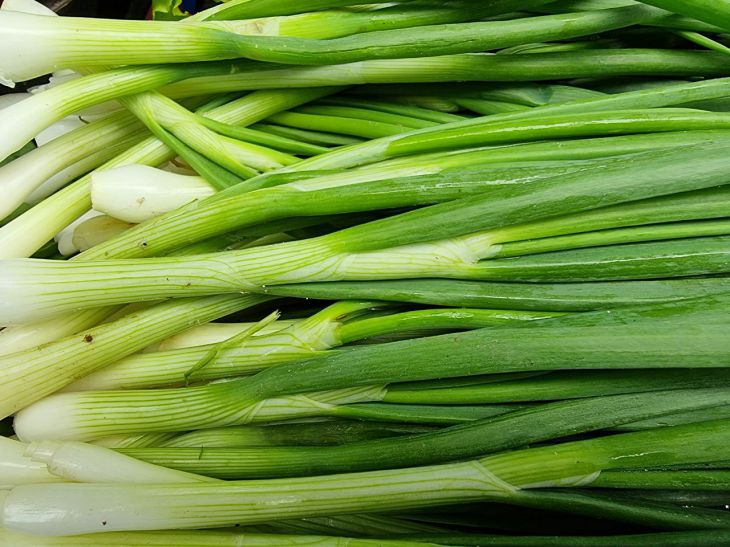 cebollas verdes