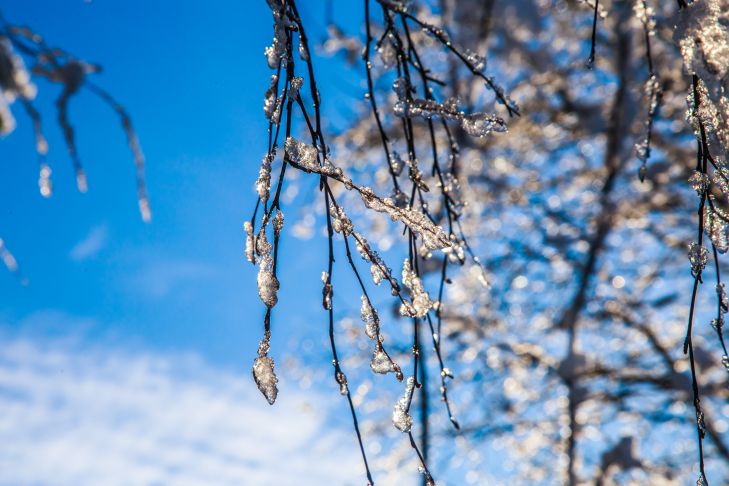 Frühling