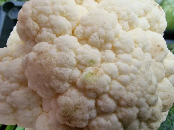 Cauliflower