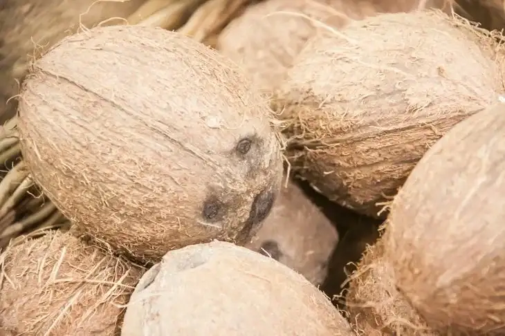 Noix de coco