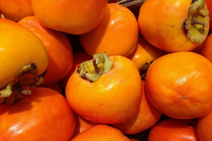 persimmon