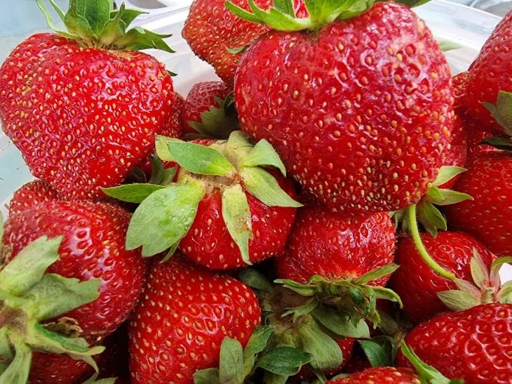 Strawberry