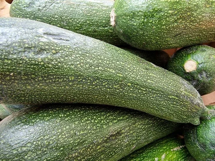 Courgettes