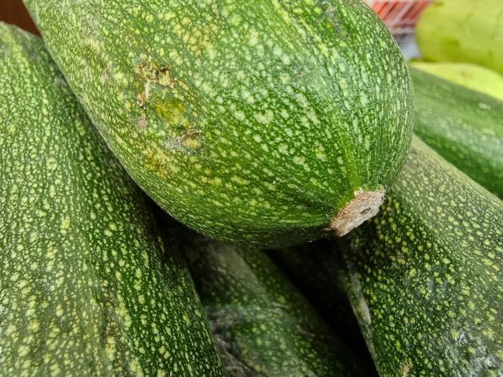 Courgettes