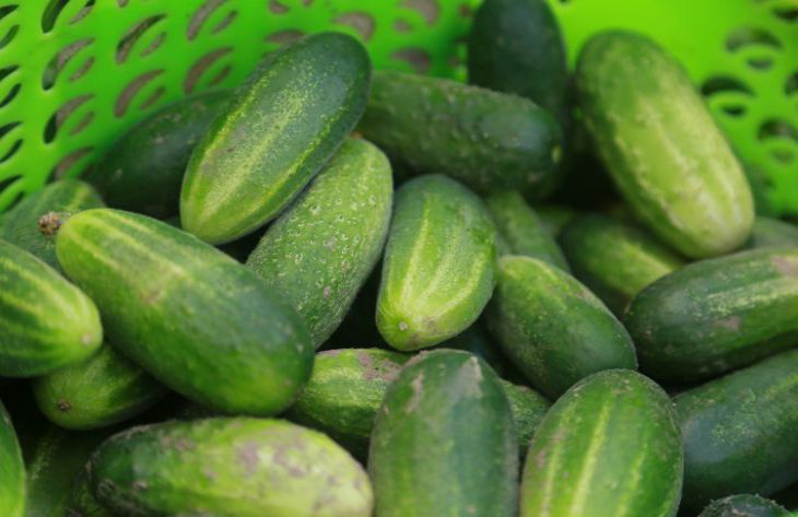 cucumbers