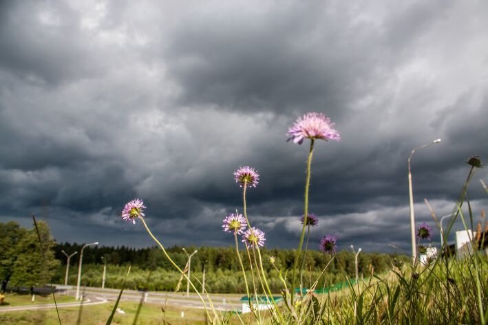 Météo