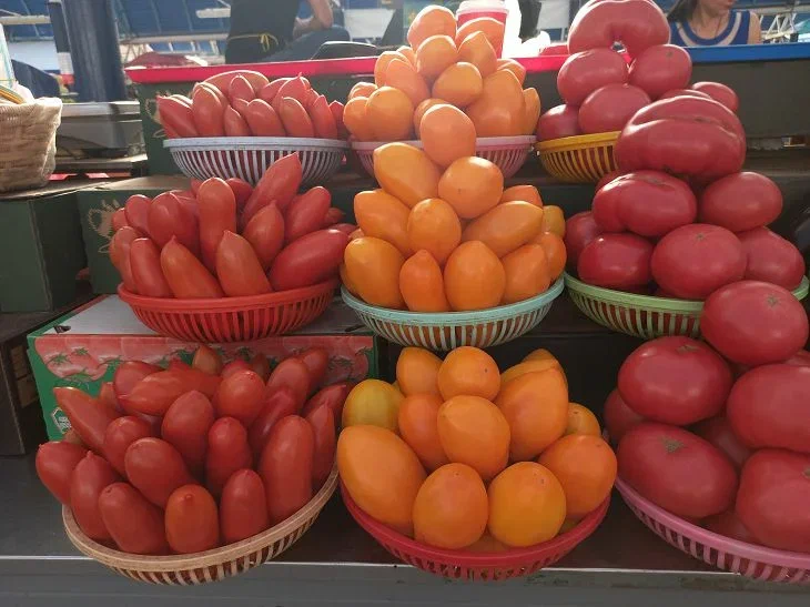 tomatoes