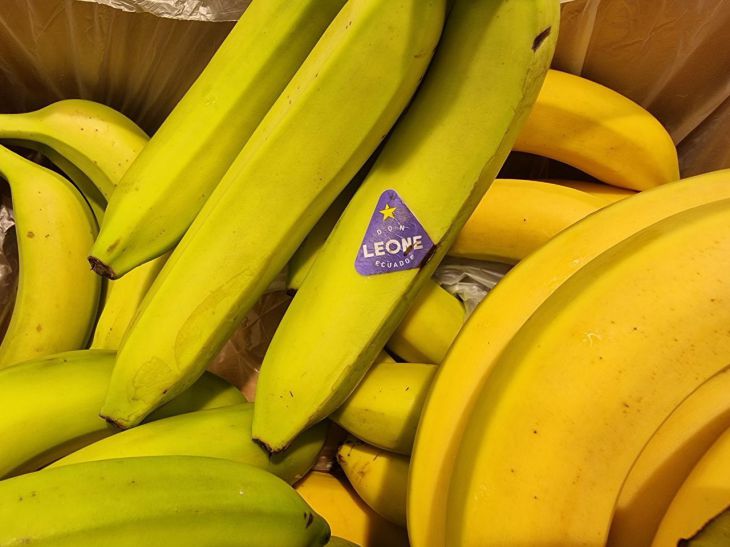 bananas