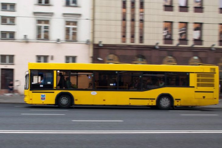 Bus