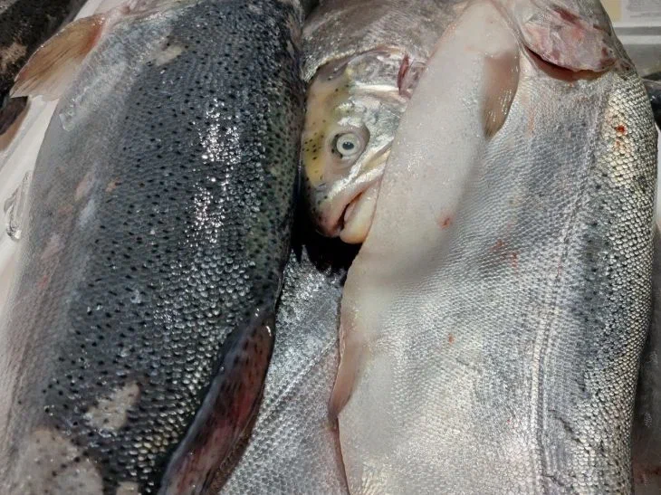 pescadería