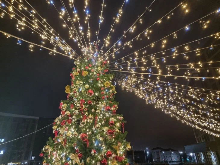 arbre de Noël