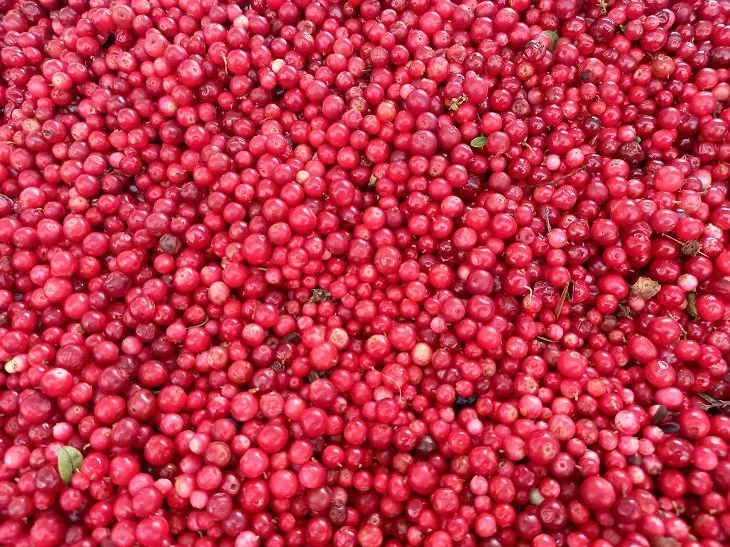 Cranberry