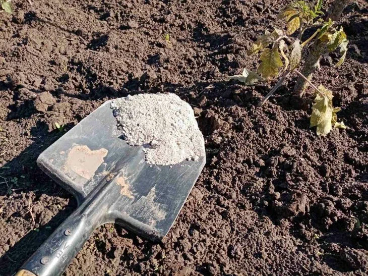 Mix ash with ground eggshells: you will get a super product that will ...