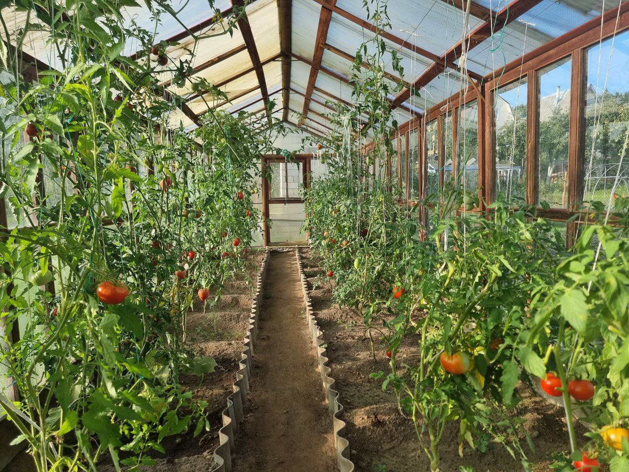 greenhouse