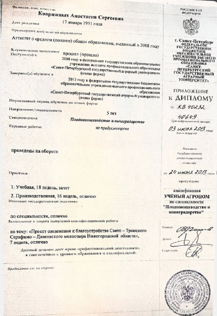 diploma