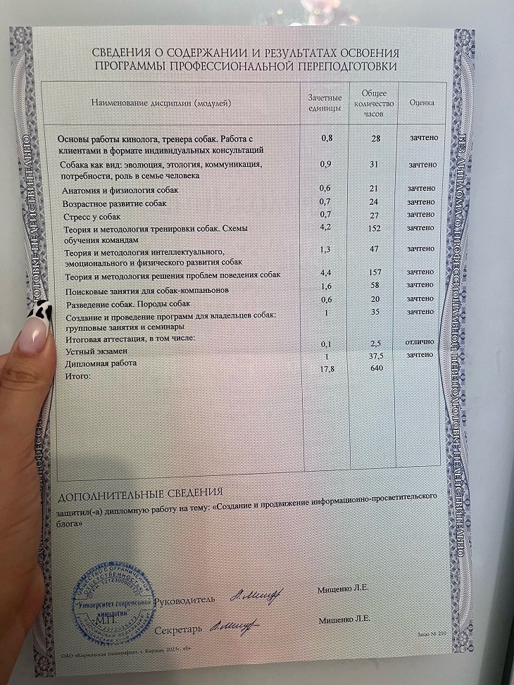 diploma