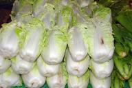 Chinese cabbage