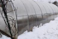 Greenhouse Snow