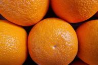 Agrumes, mandarines