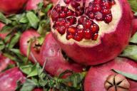 Pomegranate