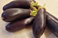 Eggplant