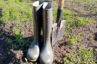 Boots Shovel