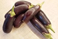 Aubergine