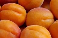 Abricots